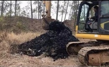  &ldquo;回頭看&rdquo;典型案例通報(bào)（十四）丨山東東營市20萬方危廢固廢非法填埋問題 虛假整改竟成正面典型