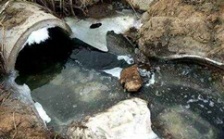  cod能反映水質(zhì)污染情況嗎？