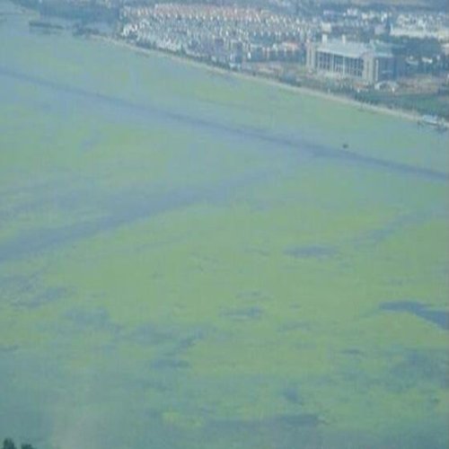  cod對(duì)水質(zhì)和環(huán)境的影響和危害