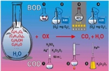  BOD和COD有什么區(qū)別？